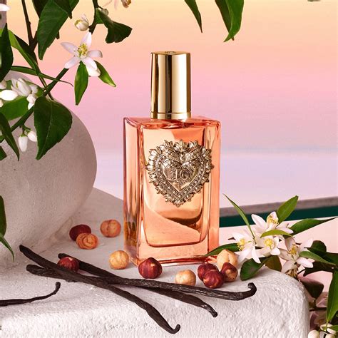 devotion dolce e gabbana fragrantica